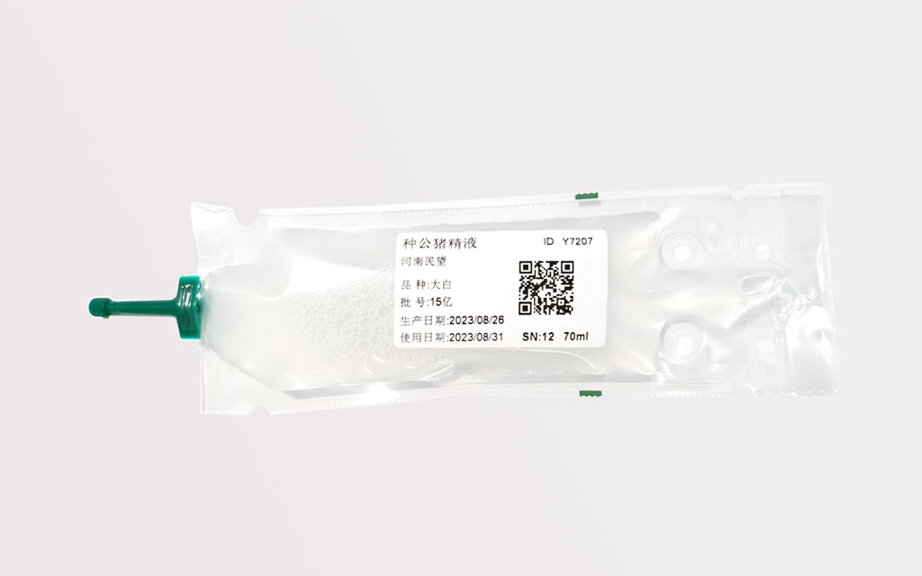 種母豬（大白、長(zhǎng)白）